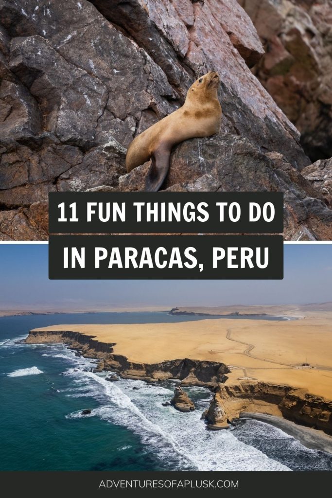 11 FUN things to do in Paracas, Peru