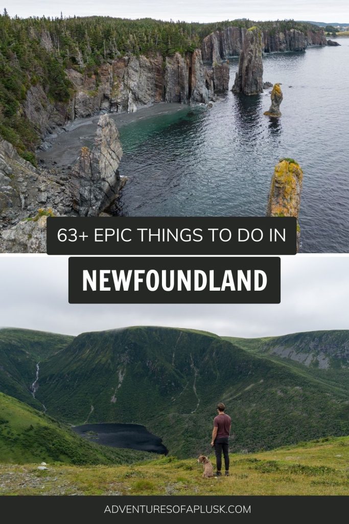 63+ EPIC things to do in Newfoundland, Canada