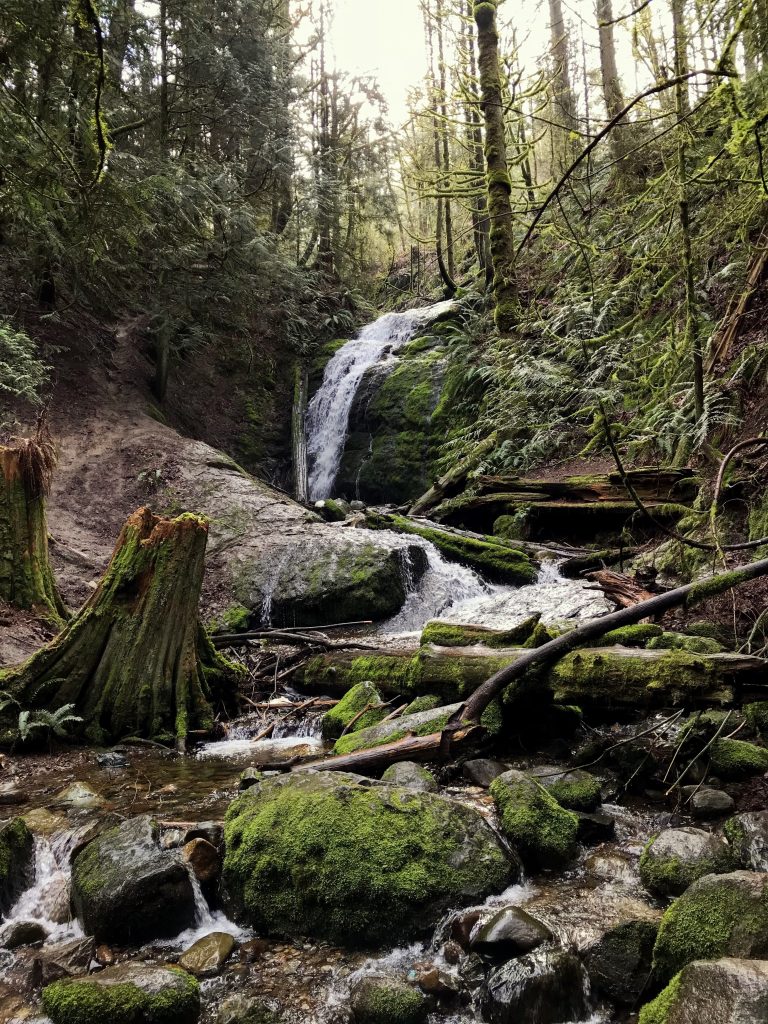 Coal Creek Falls | Best Washington Waterfalls