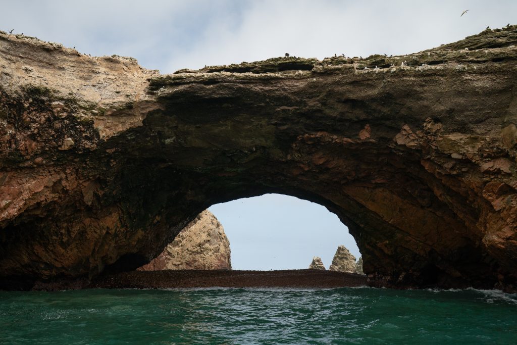 Ballestas Islands Tour | 11 FUN things to do in Paracas, Peru
