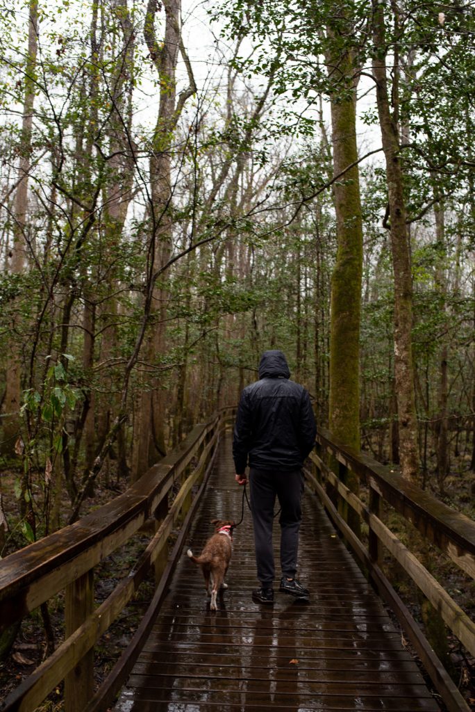 Dog friendly National Parks in the USA