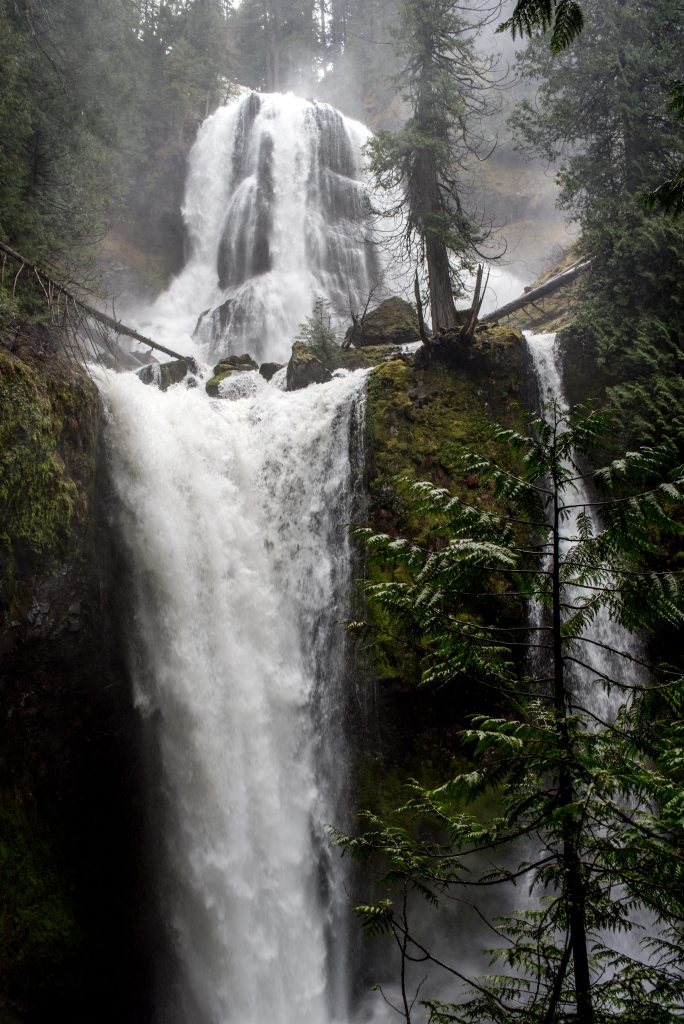 Falls Creek Falls | Best waterfalls in Washington