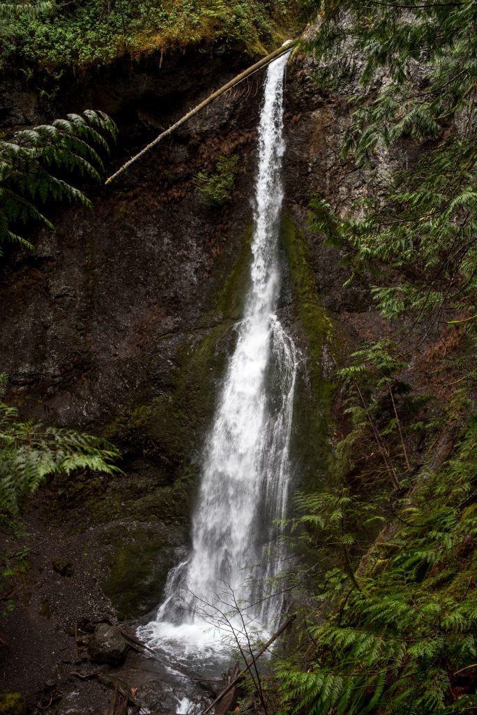 Marymere Falls | Best Washington Waterfalls