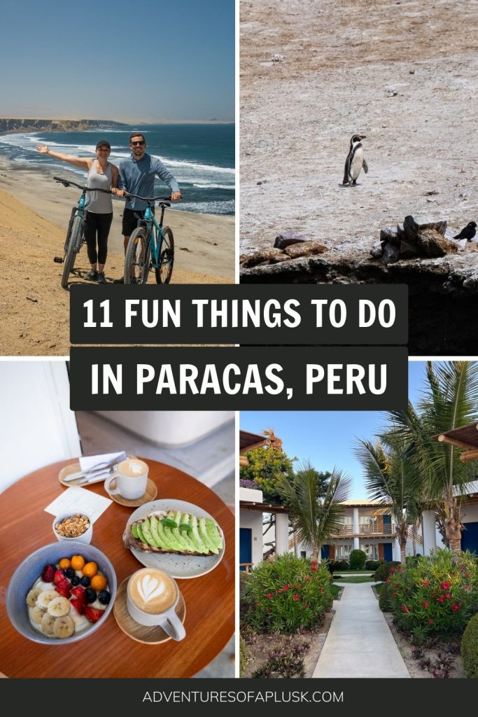 11 FUN things to do in Paracas, Peru