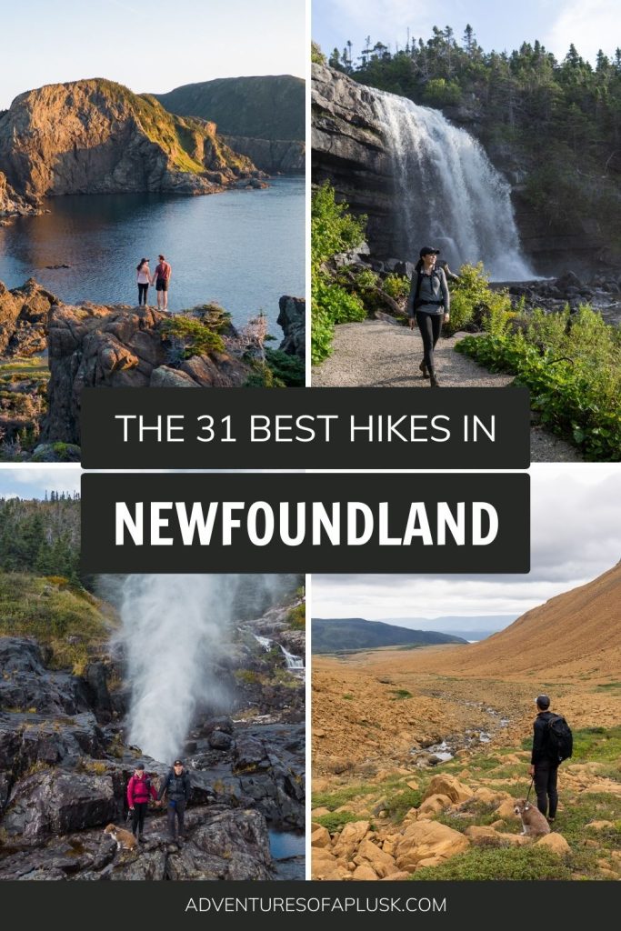 The 31 Best Hikes in Newfoundland | Bucket List Newfoundland Hikes