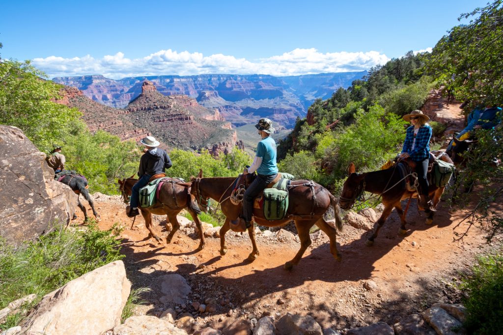 Things to do on the South Rim of the Grand Canyon