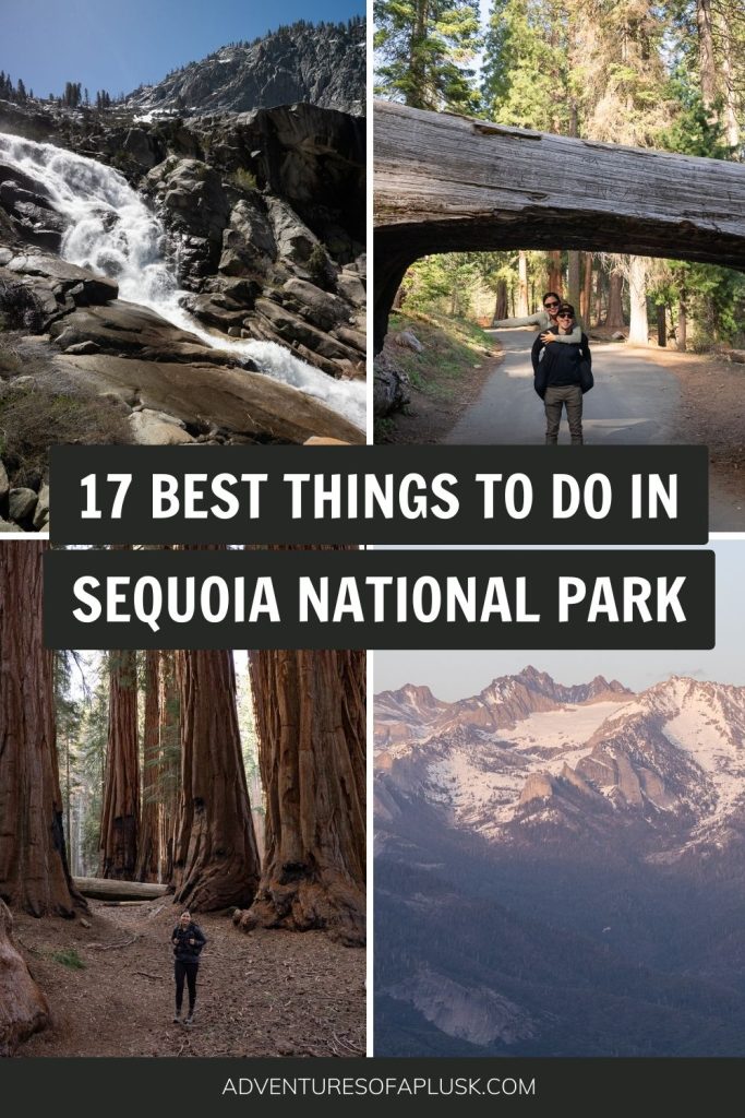 The 17 Best Things to Do in Sequoia National Park
