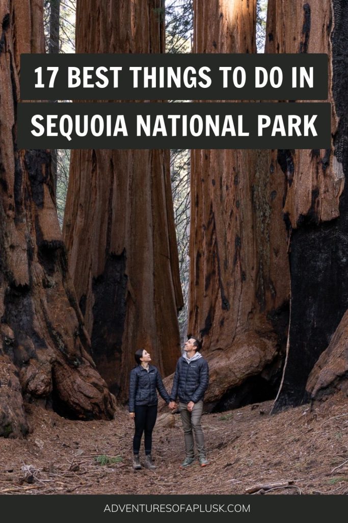 The 17 Best Things to Do in Sequoia National Park
