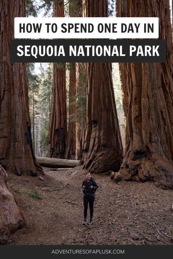 The Perfect One Day in Sequoia National Park Itinerary