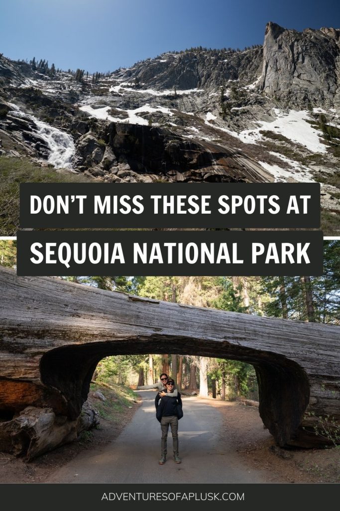 The 17 Best Things to Do in Sequoia National Park