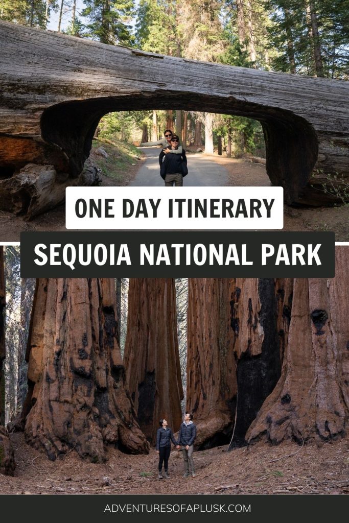 The Perfect One Day in Sequoia National Park Itinerary