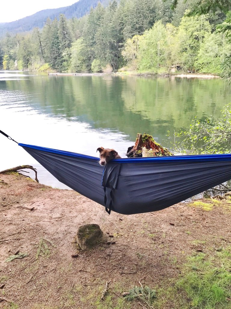 Camping in Washington State