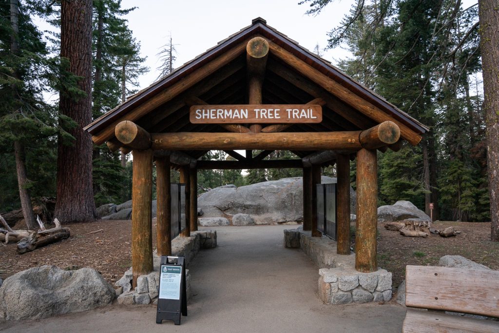 General Sherman Tree Trail | Best hikes in Sequoia National Park