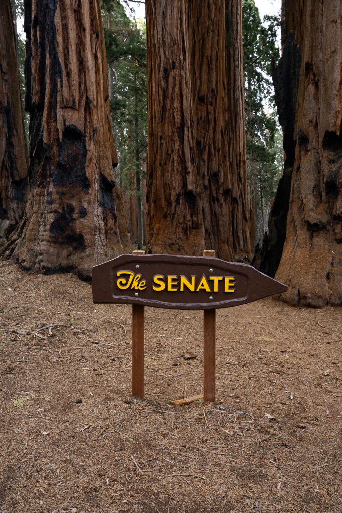 Congress Trail | Best hikes in Sequoia National Park