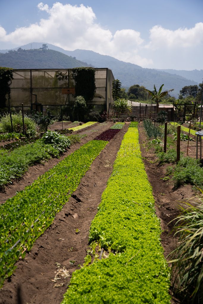 Caoba Farms Restaurant | Best restaurants in Antigua, Guatemala