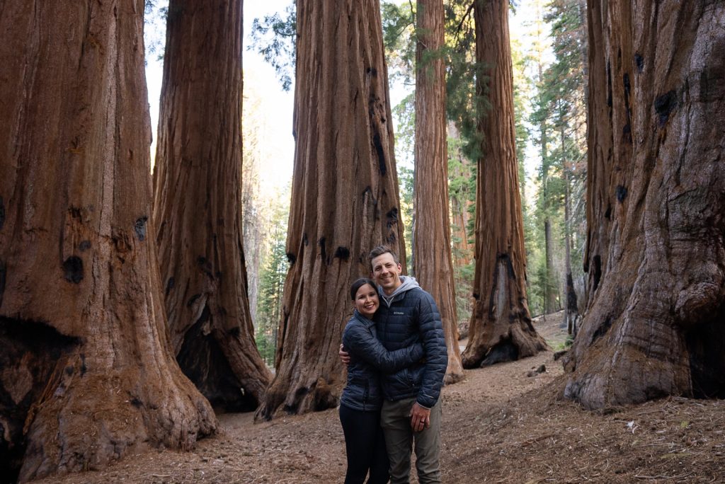 Congress Trail | Best hikes in Sequoia National Park
