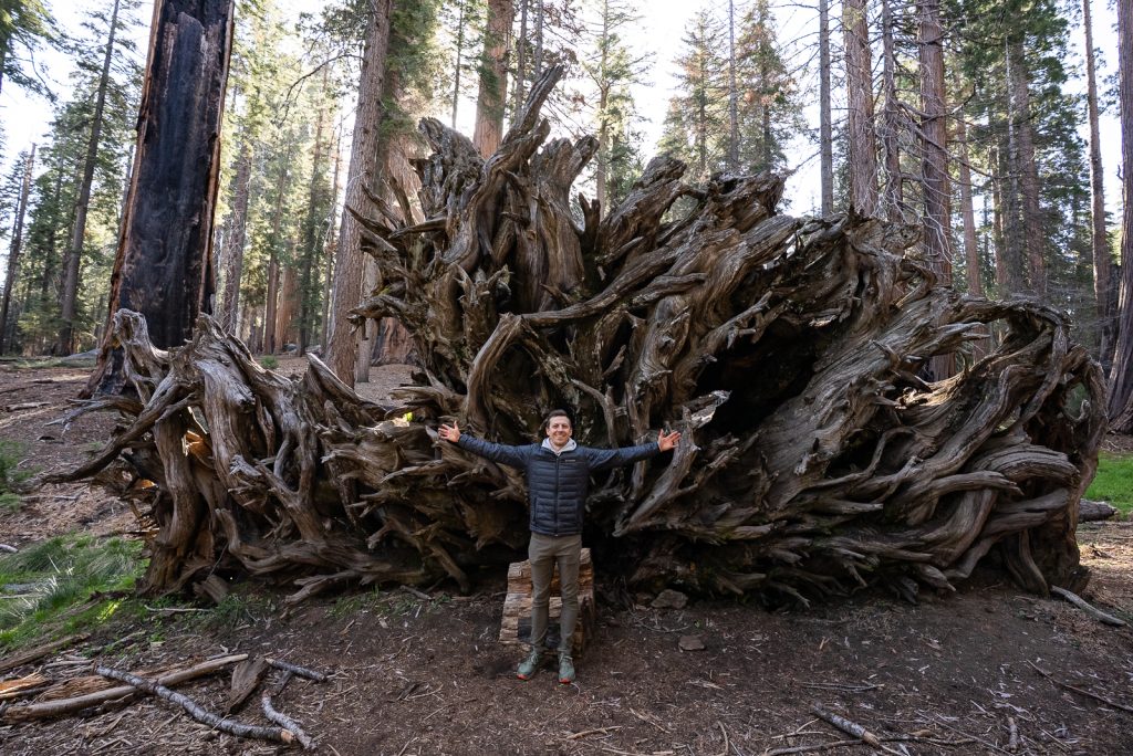 Best things to do in Sequoia National Park