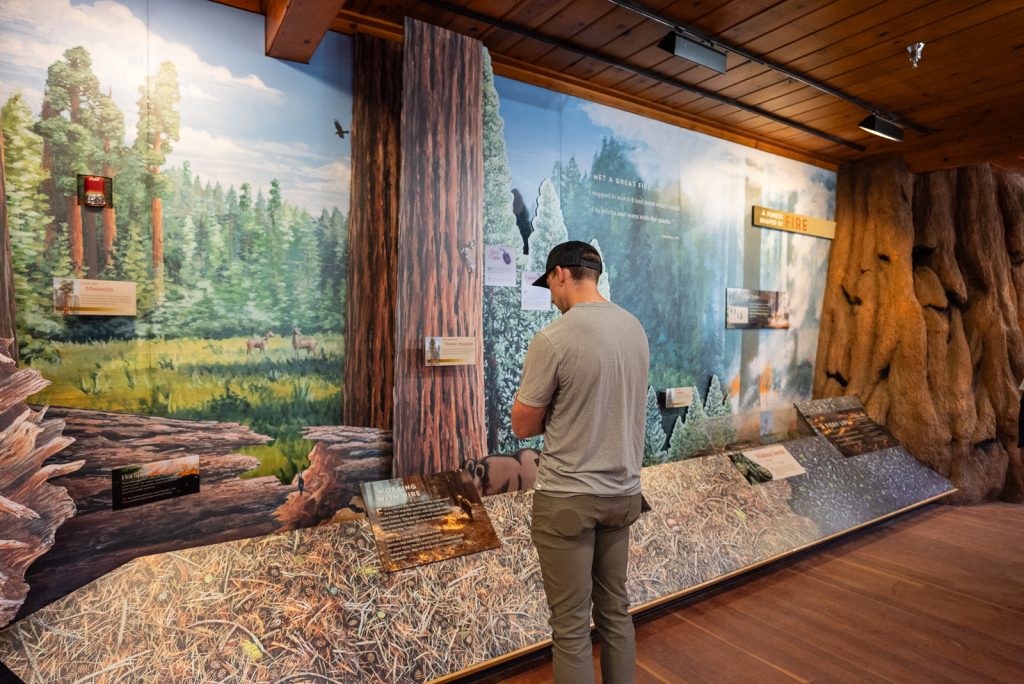 Giant Forest Museum | Best things to do in Sequoia National Park