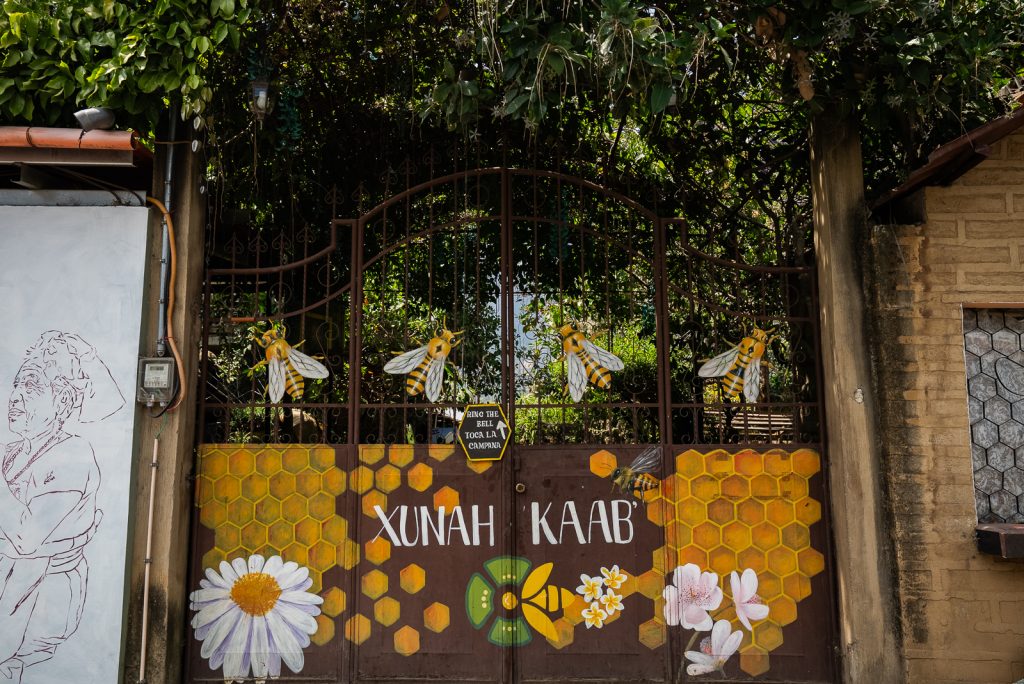 Xunah Kaab Bee Farm Guatemala