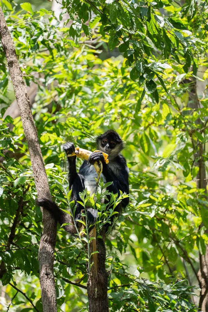 Reserva Natural Atitlán