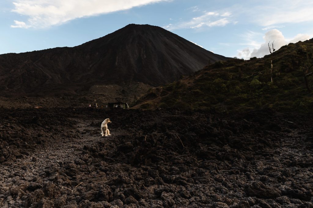 Volcán de Pacaya Hike