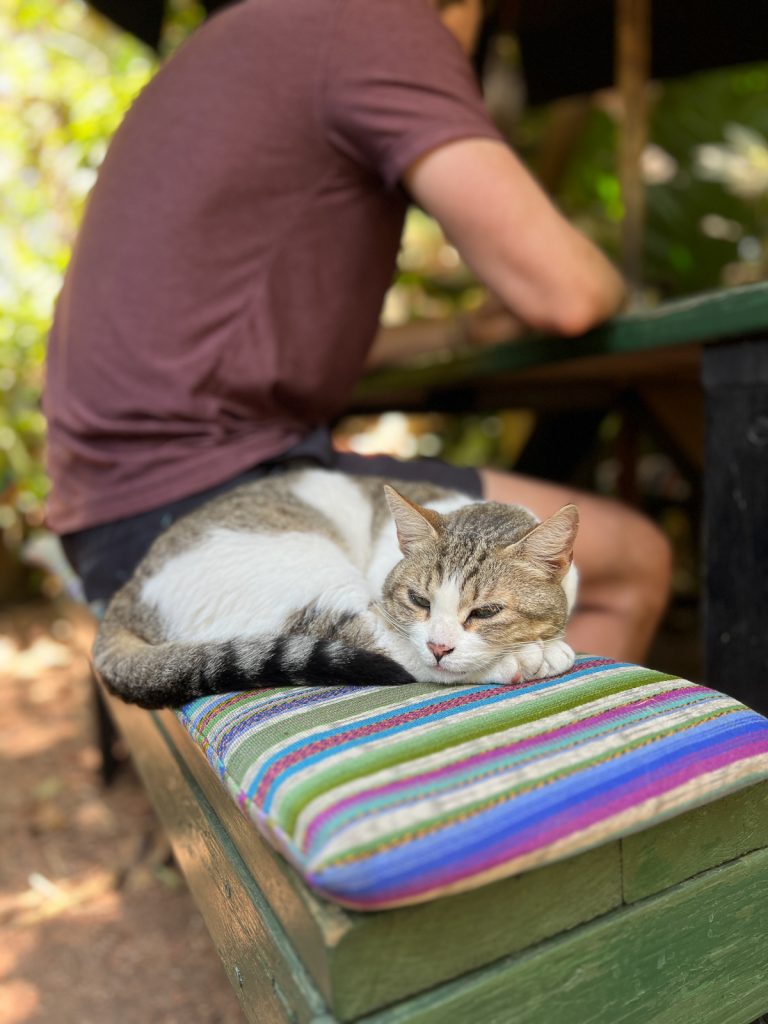 Caoba Farms Restaurant | Best restaurants in Antigua, Guatemala