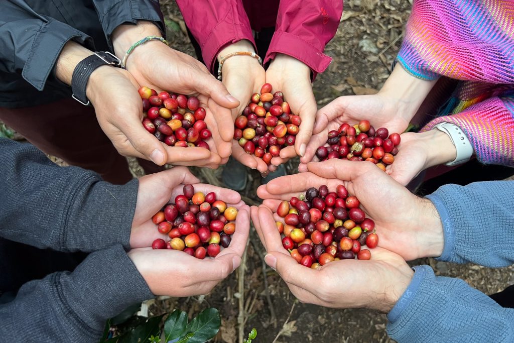 Coffee tour Guatemala