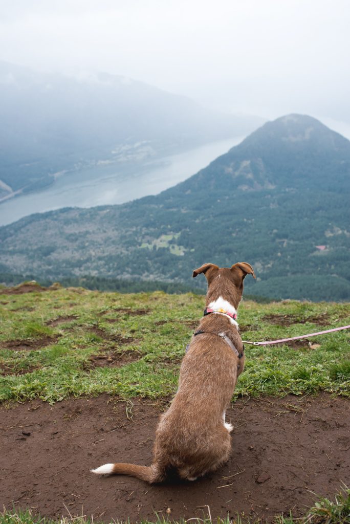 Things to do in Washington State