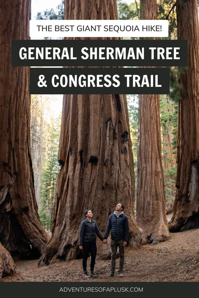 General Sherman Tree & Congress Trail: The Ultimate Giant Sequoia Hike!
