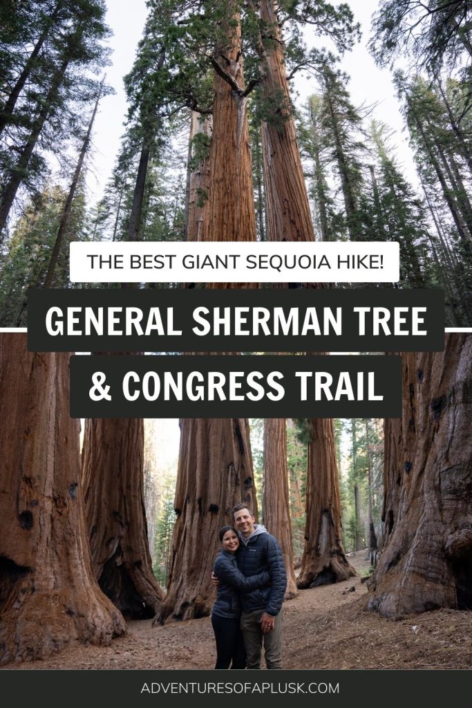 General Sherman Tree & Congress Trail: The Ultimate Giant Sequoia Hike!