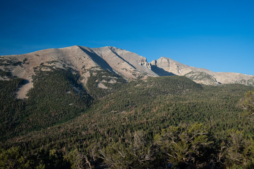 Things to do in Great Basin National Park