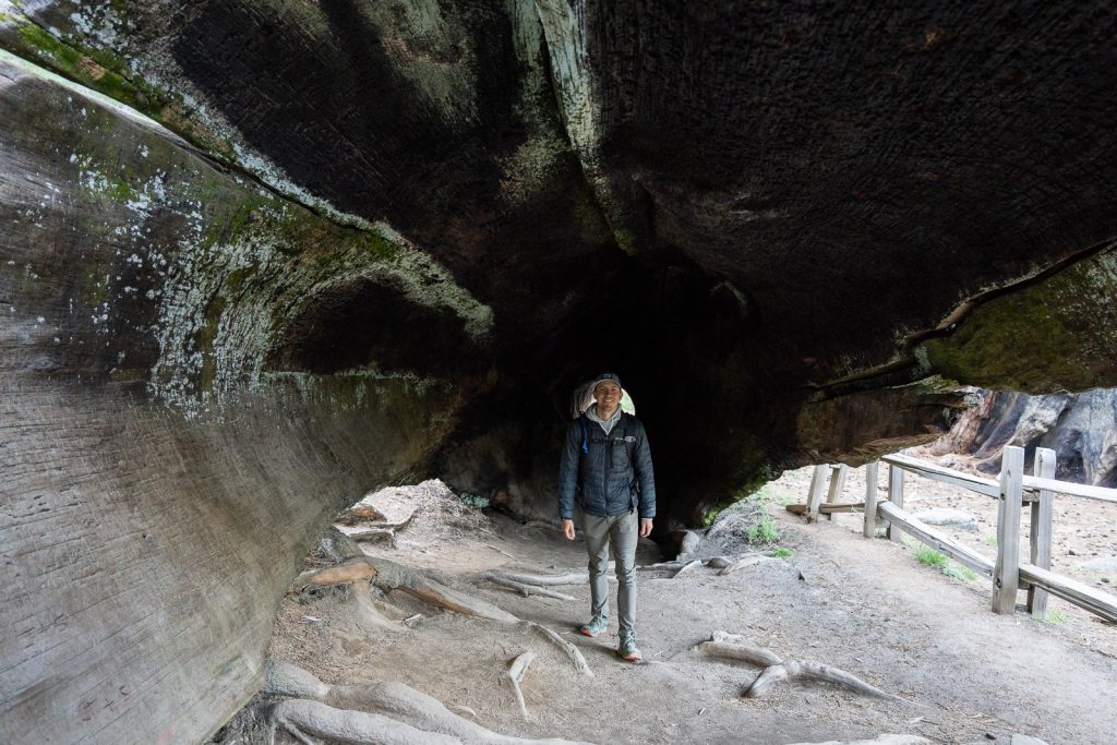 General Grant | Best Things to do in Kings Canyon National Park