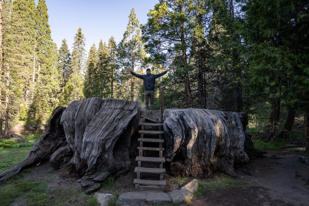 Big Stump Loop | Best Hikes in Kings Canyon National Park