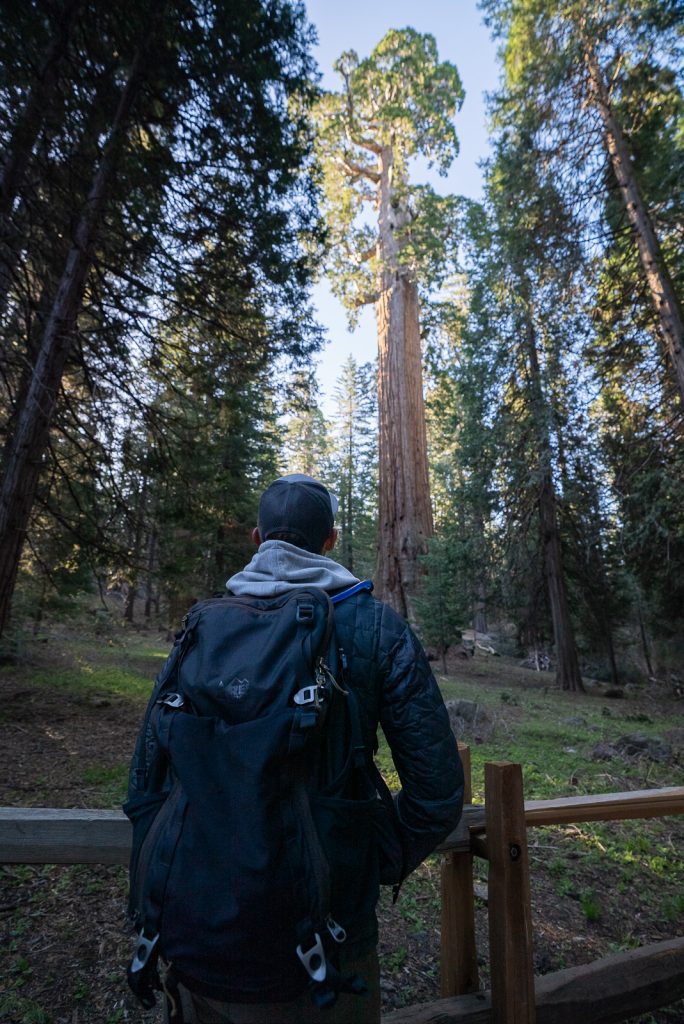 General Grant Tree | Best things to do in Kings Canyon National Park