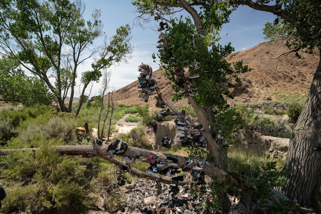 Shoe Tree | Loneliest Road in America