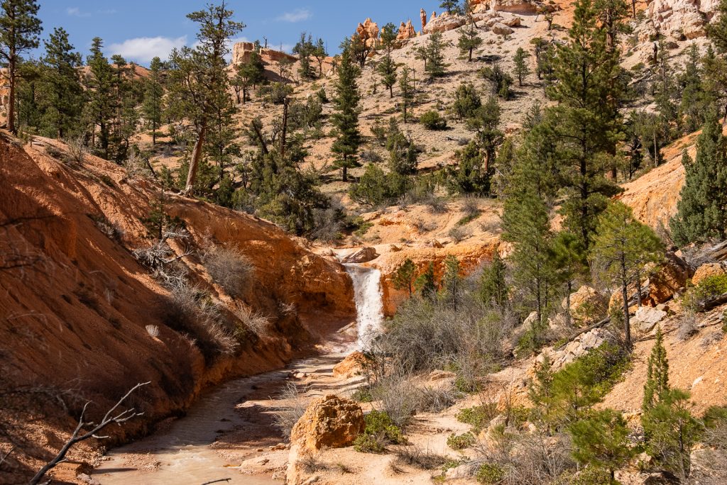 Mossy Cave | Best Hikes in Bryce Canyon National Park