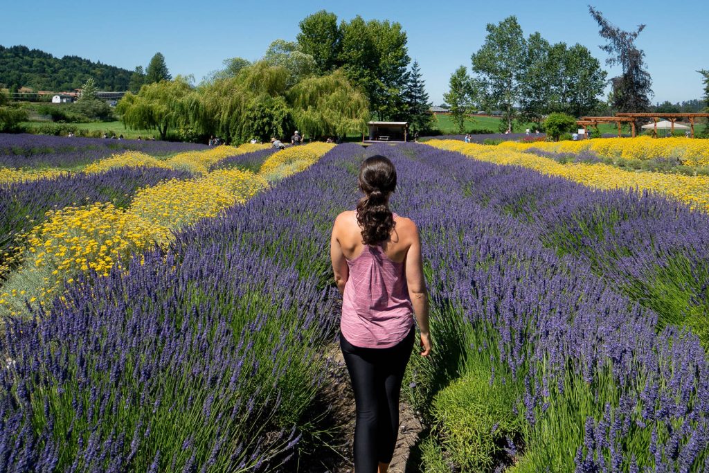 Things to do in Seattle in the summer