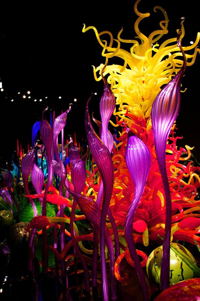 Things to do in Seattle in the Winter | Chihuly