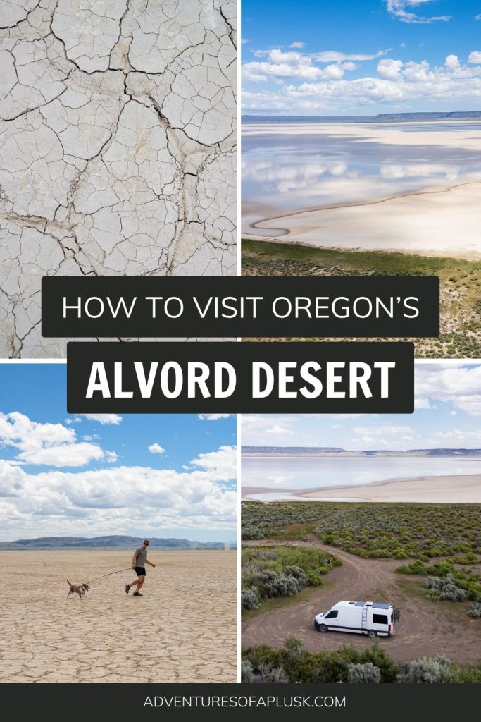 Visiting the Alvord Desert in Oregon: Everything to know!