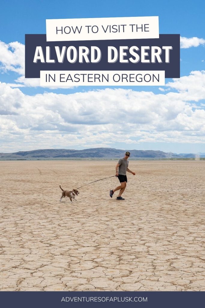 Visiting the Alvord Desert in Oregon: Everything to know!