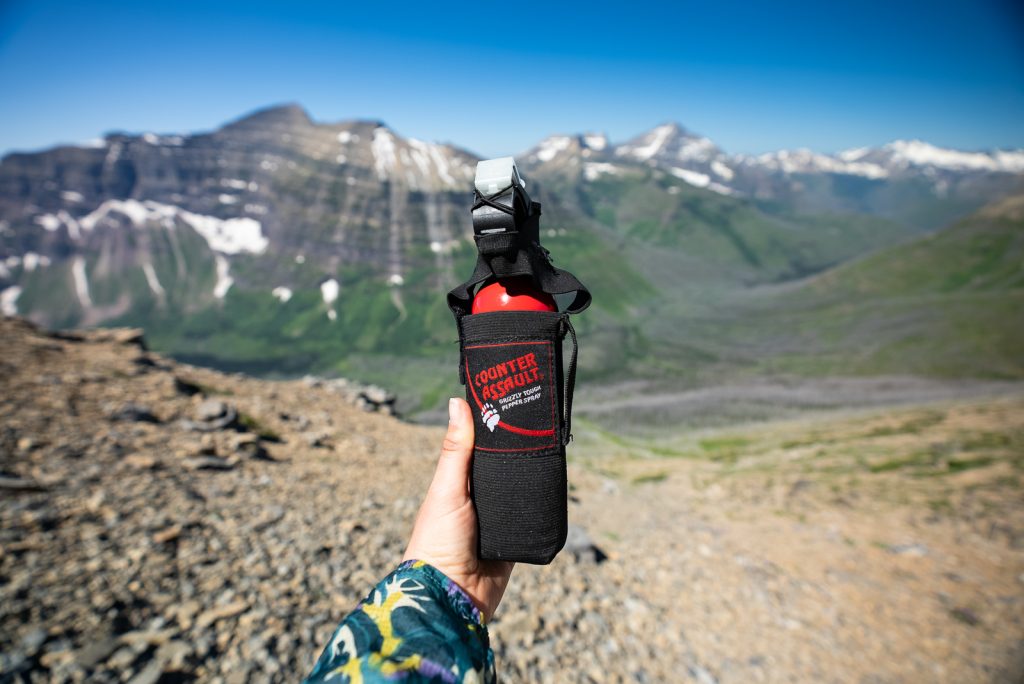 Bear spray