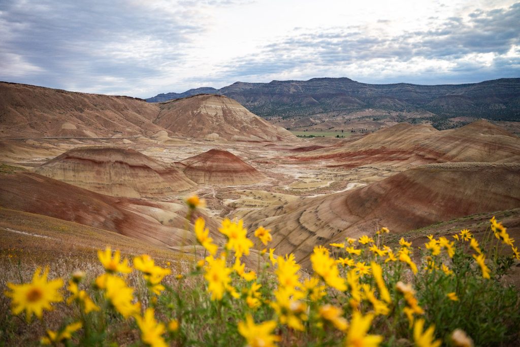 Painted Hills Overlook- Painted Hills John Day Fossil Beds National Monument