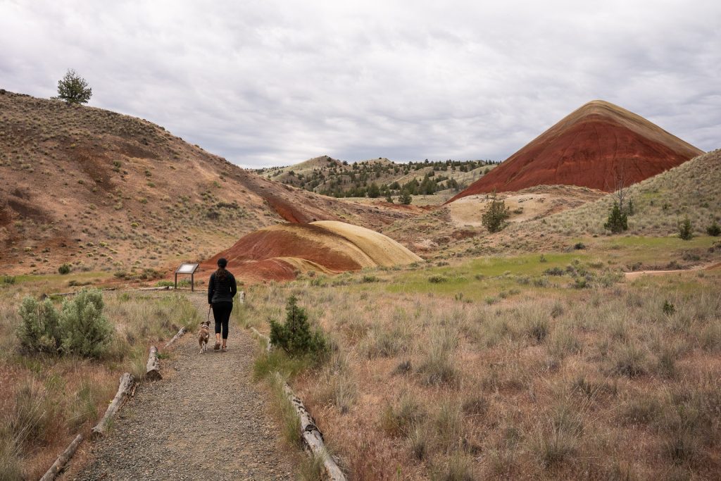 Red Scar Knoll Trail- Painted Hills John Day Fossil Beds National Monument