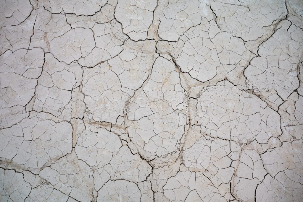 Alvord Desert Playa