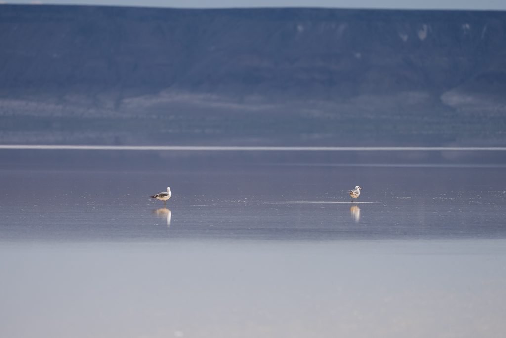 Alvord Desert Playa