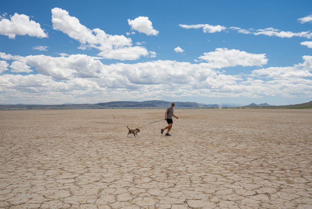 Alvord Desert Playa