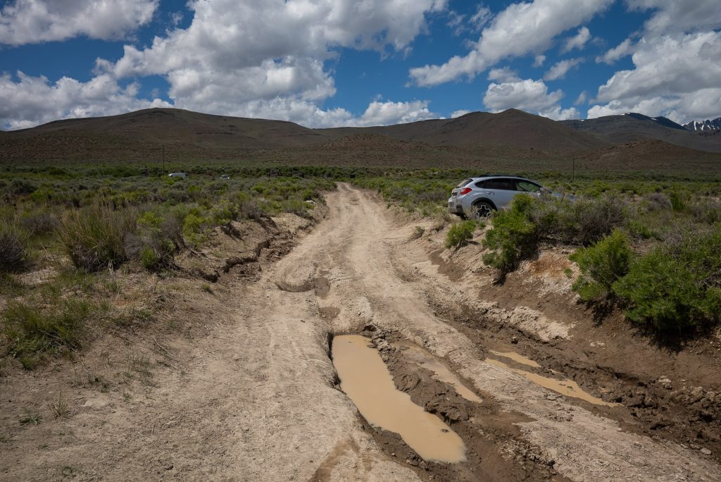 Frog Springs Alvord Desert