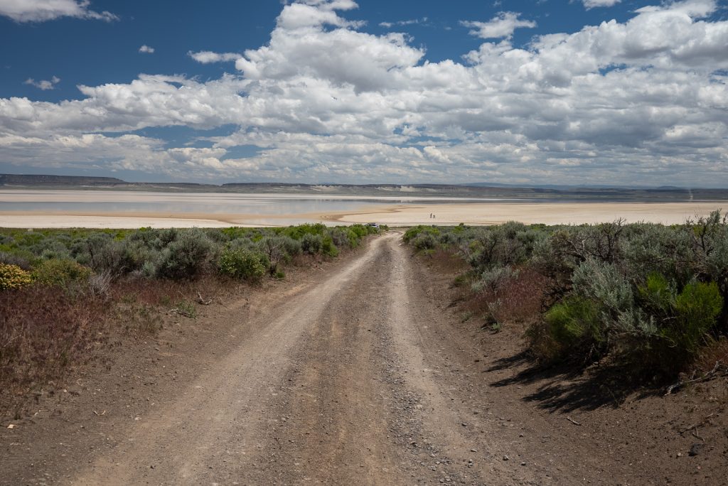 Frog Springs Alvord Desert