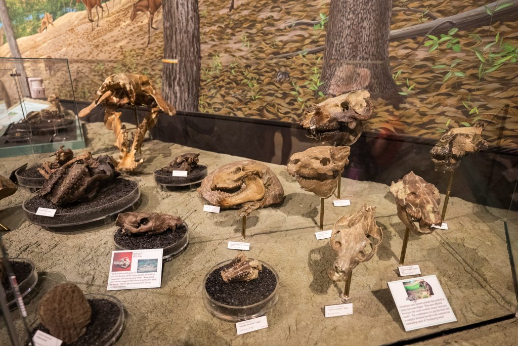 John Day Fossil Beds National Monument