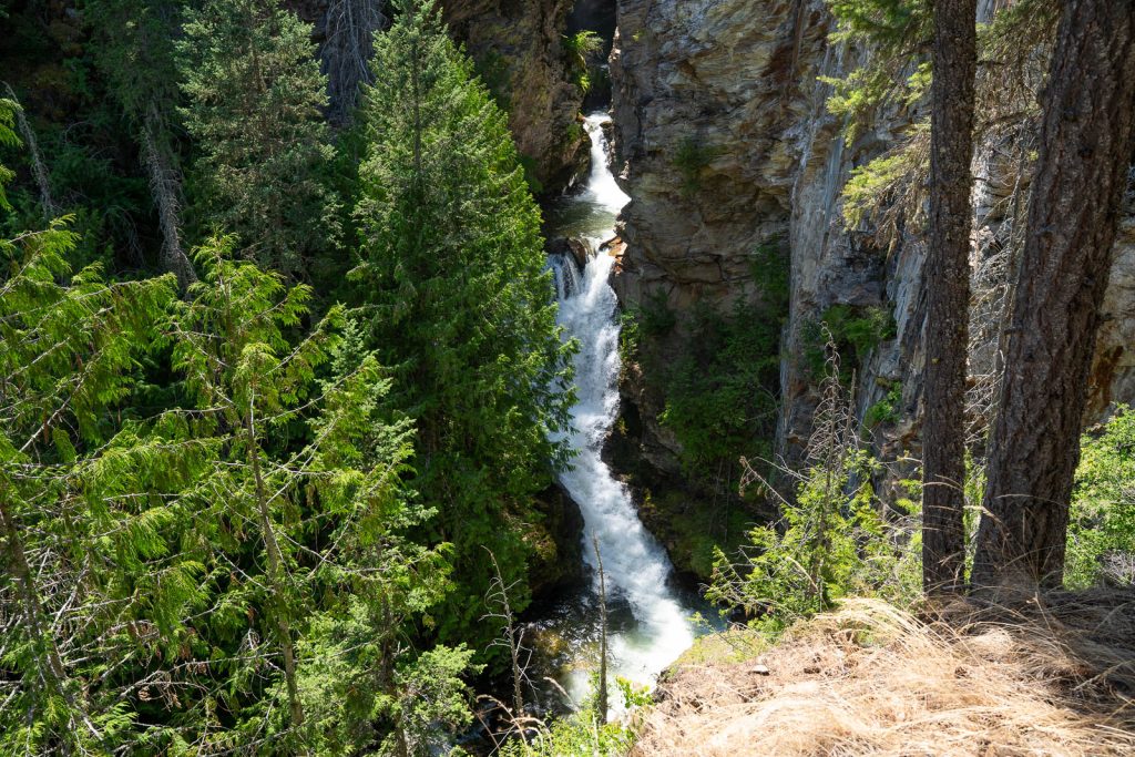 Myrtle Falls | International Selkirk Loop